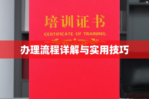 水城办理流程详解与实用技巧