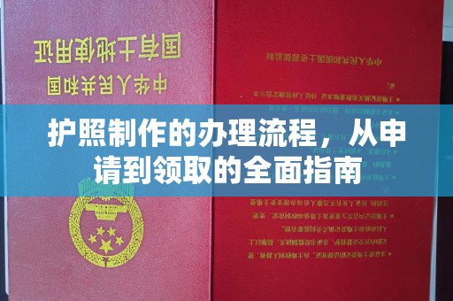 水城护照制作的办理流程，从申请到领取的全面指南