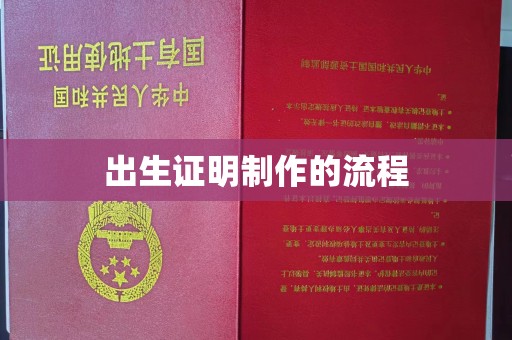 水城出生证明制作的流程