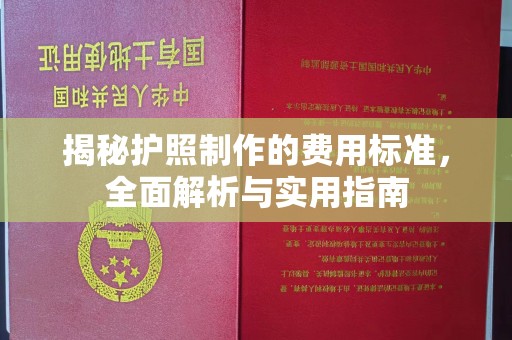 水城揭秘护照制作的费用标准，全面解析与实用指南