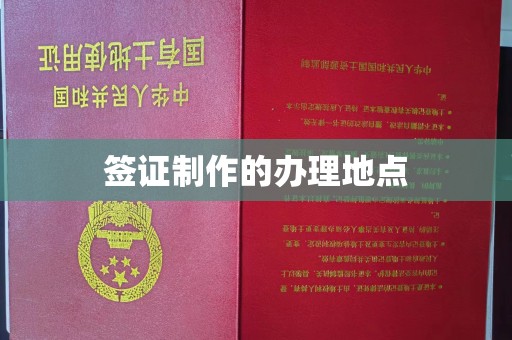 水城签证制作的办理地点
